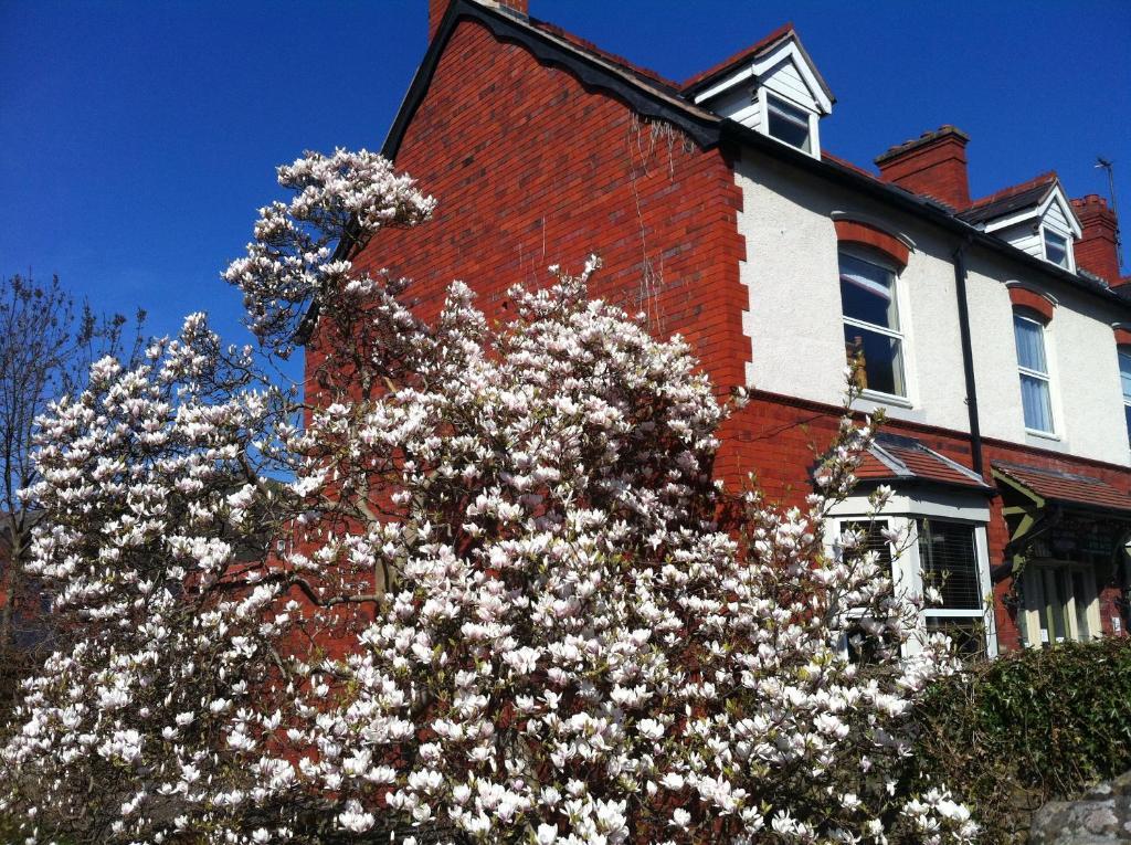 Llangollen Hostel Guest Rooms - No Dormitories - Self Catering المظهر الخارجي الصورة